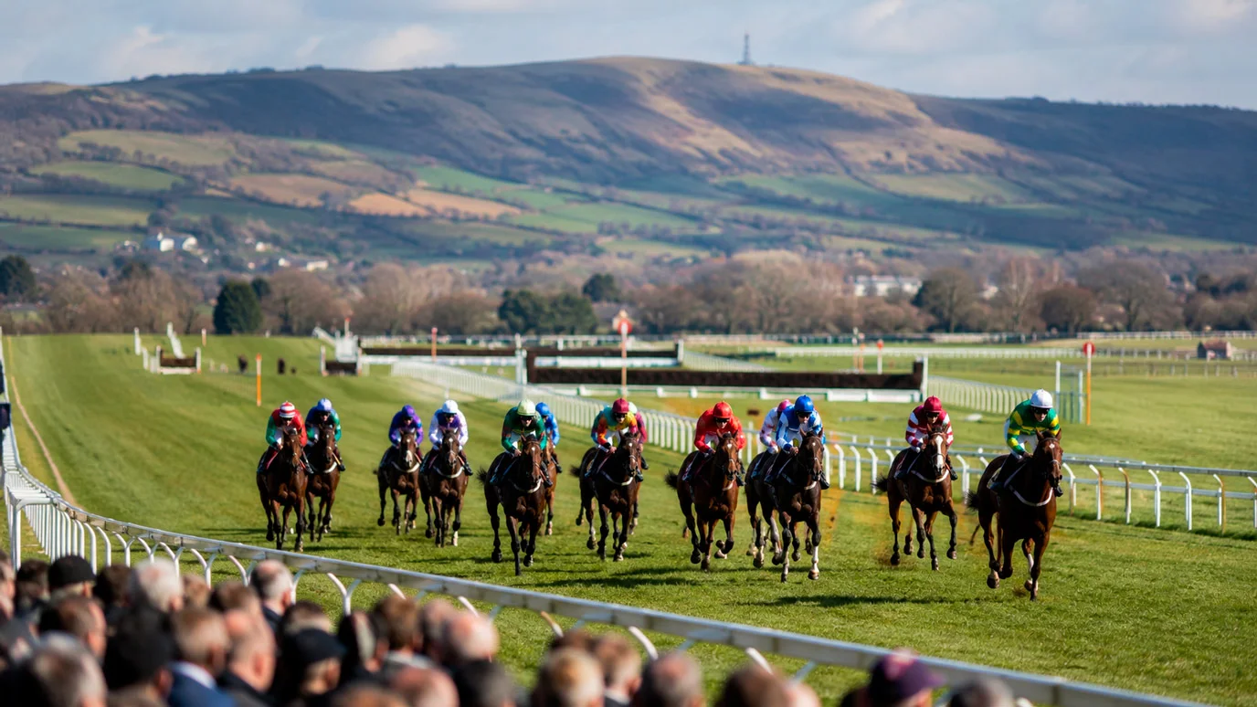 Crowd at Prestbury Park watching the run-in during Cheltenham Festival